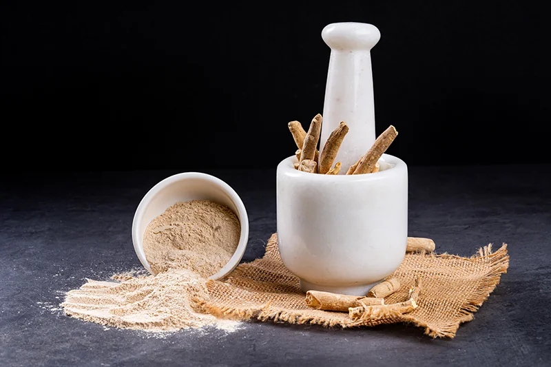 Extrait breveté KSM-66 Ashwagandha utilisé dans les suppléments calmants pour chiens