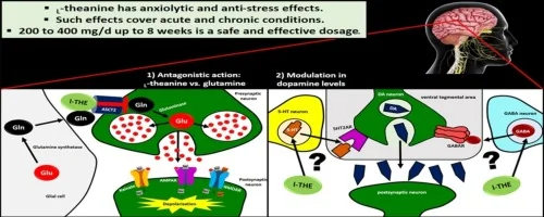 Psychotropic effects of L-theanine and its clinical properties: From the management of anxiety and stress to a potential use in schizophrenia - ScienceDirect