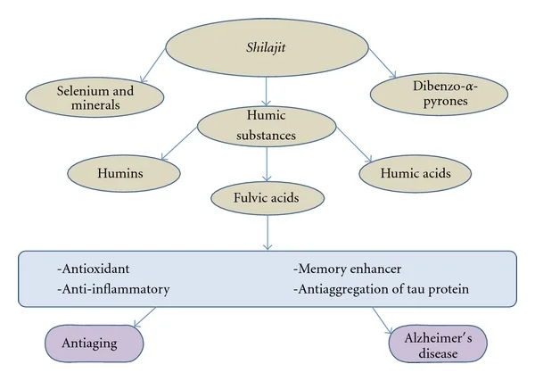 Schéma montrant la composition du shilajit et les propriétés de l'acide fulvique