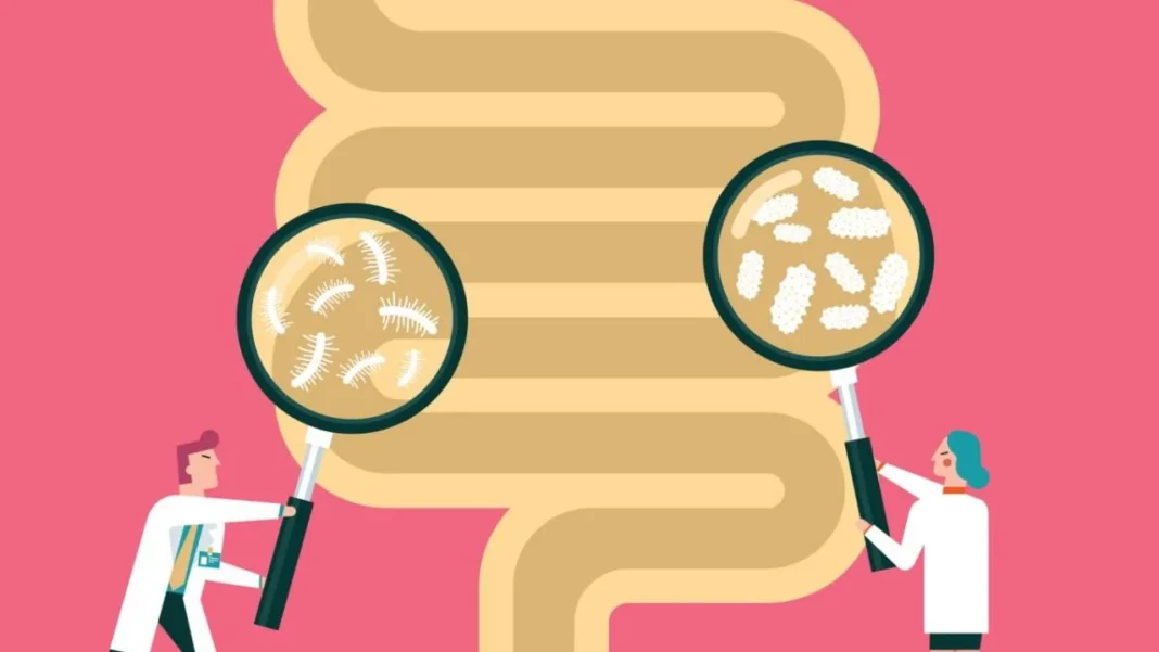 Can You Make Your Gut Healthier with Probiotics?