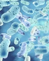 Séquençage du microbiote intestinal par ADN