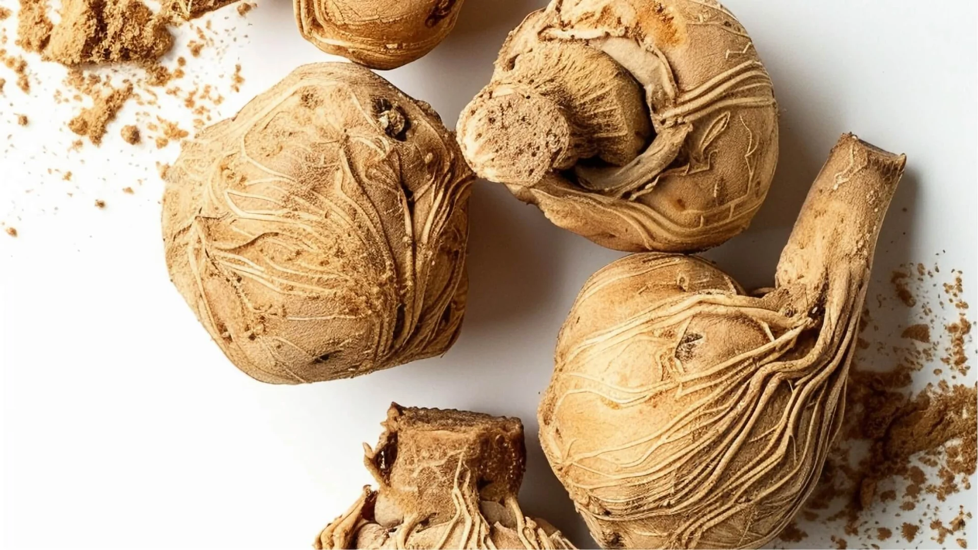 Les Bienfaits de la Maca : ce que dit la science