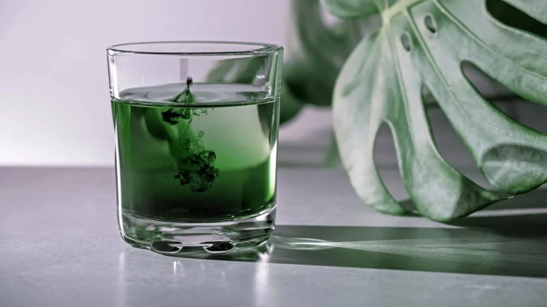 Main tenant des comprimés de chlorella avec un verre d'eau pour la posologie