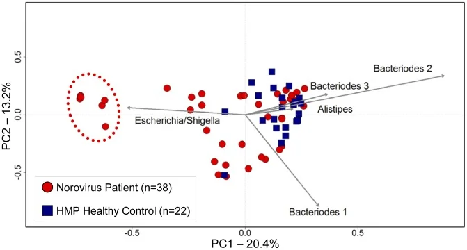 Analyse de la diversité du microbiote après infection Norovirus