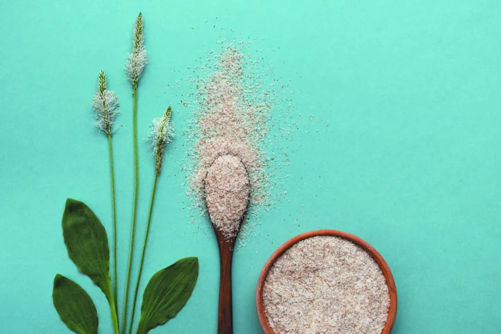 psyllium constipation - Psyllium et Constipation : Comment l'Utiliser pour un Transit Régulier