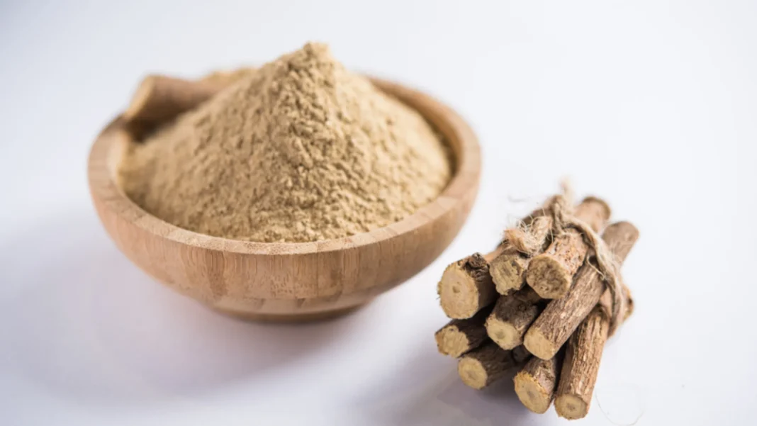 Racines de réglisse séchées Glycyrrhiza glabra pour usage médicinal et phytothérapie