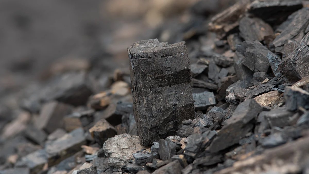 Représentation de la chélation des minéraux traces par l'acide fulvique pour une meilleure biodisponibilité.