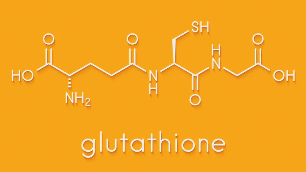 Représentation visuelle du glutathion comme bouclier antioxydant protecteur des cellules.