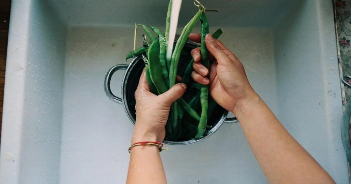 30 Great Foods for Gut Health and What to Avoid