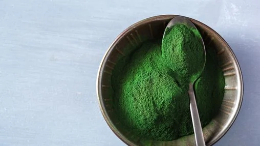 Poudre de spiruline pure dans une cuillère en bois