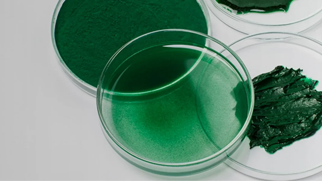 spiruline fer - Spiruline et Fer : Bienfaits Prouvés sur le Fer, les Protéines et l'Énergie
