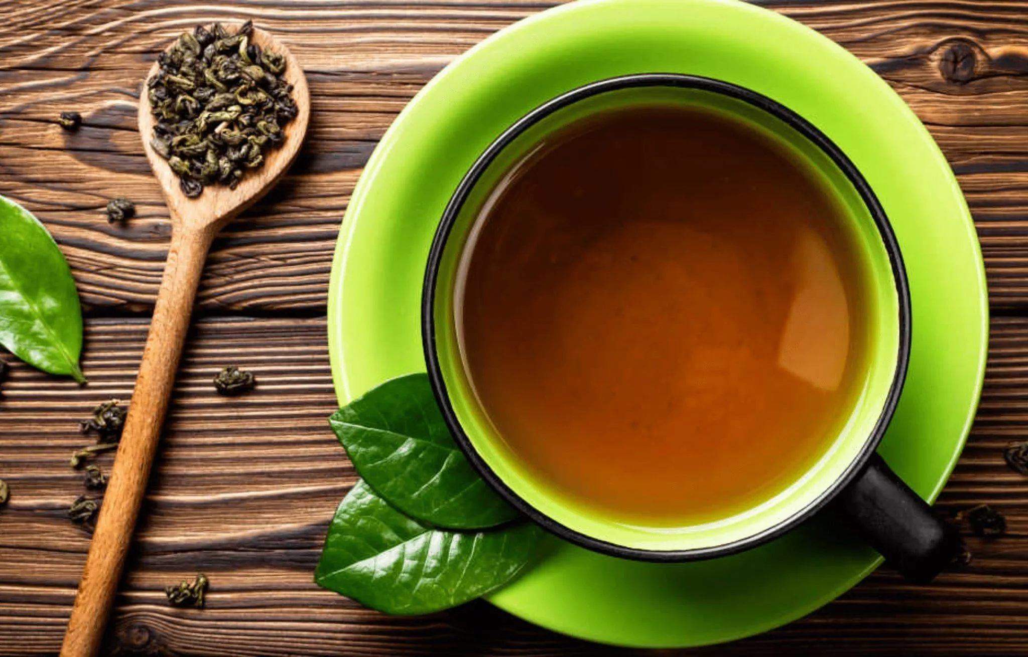 Structure et origine de la L-théanine dans les feuilles de thé vert