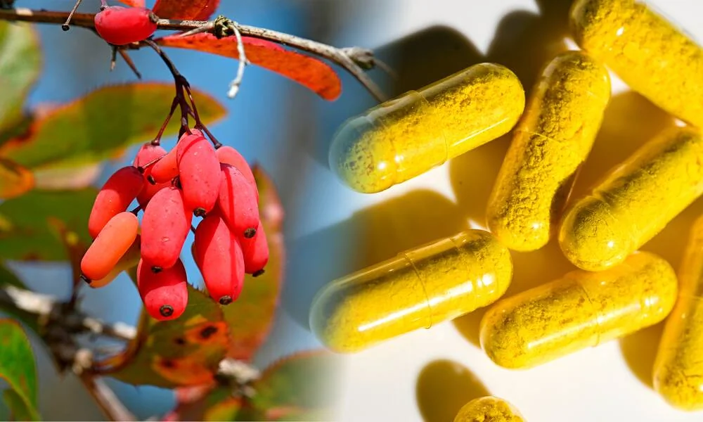 Ce complément alimentaire fait-il vraiment maigrir ?