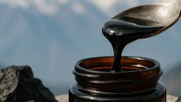Résine de shilajit purifiée utilisée en pharmacie