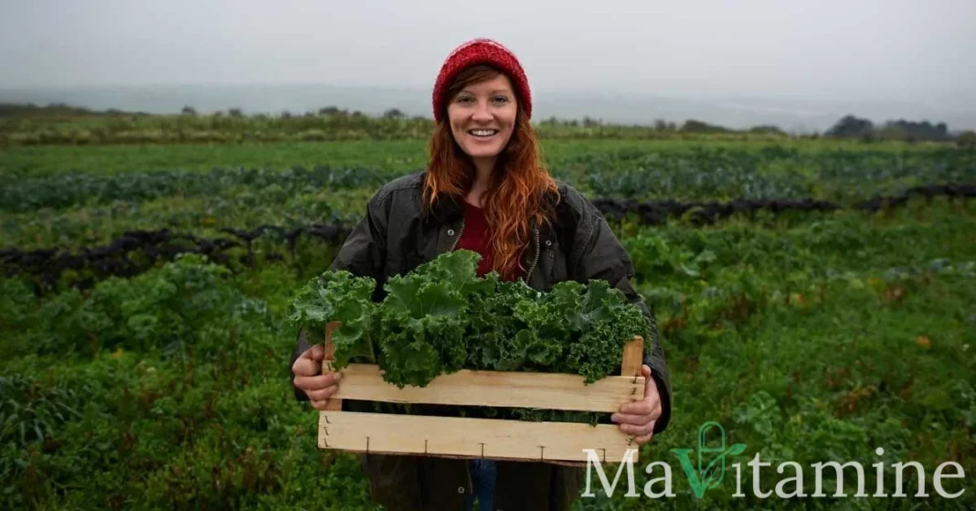 13 Légumes Feuilles : Les Meilleures Sources de Vitamines