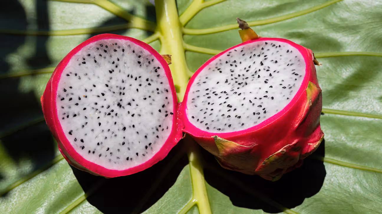 Deux moitiés de fruit du dragon révélant la pulpe blanche et les graines noires