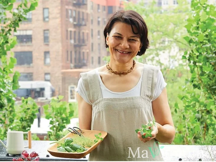 Ayurvéda : Les Secrets d'une Alimentation Équilibrée