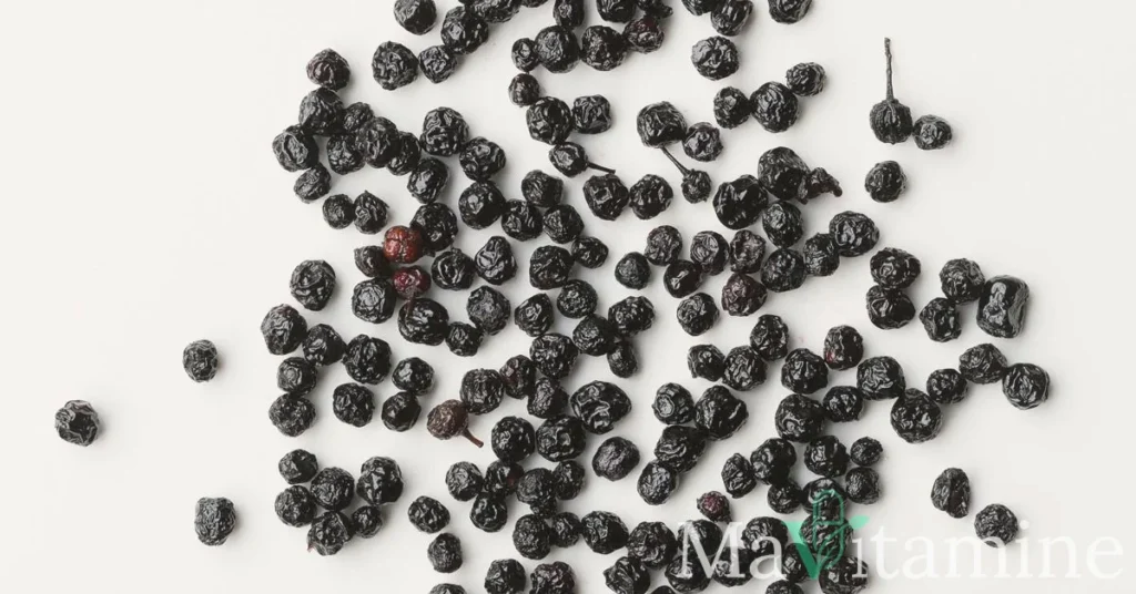 Baie de maqui : le super-fruit antioxydant venu des Andes