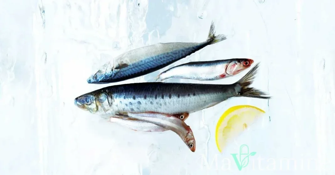 DHA : Les 12 bienfaits prouvés de cet Oméga-3 essentiel