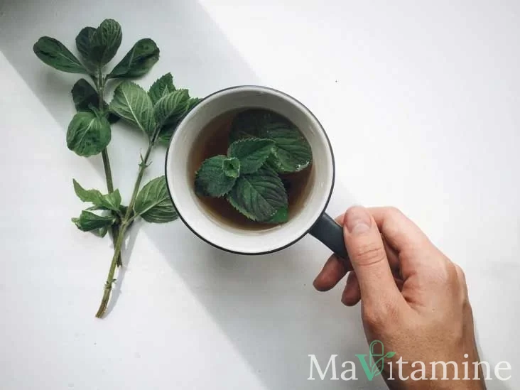 Menthe : 8 bienfaits prouvés par la science pour votre santé