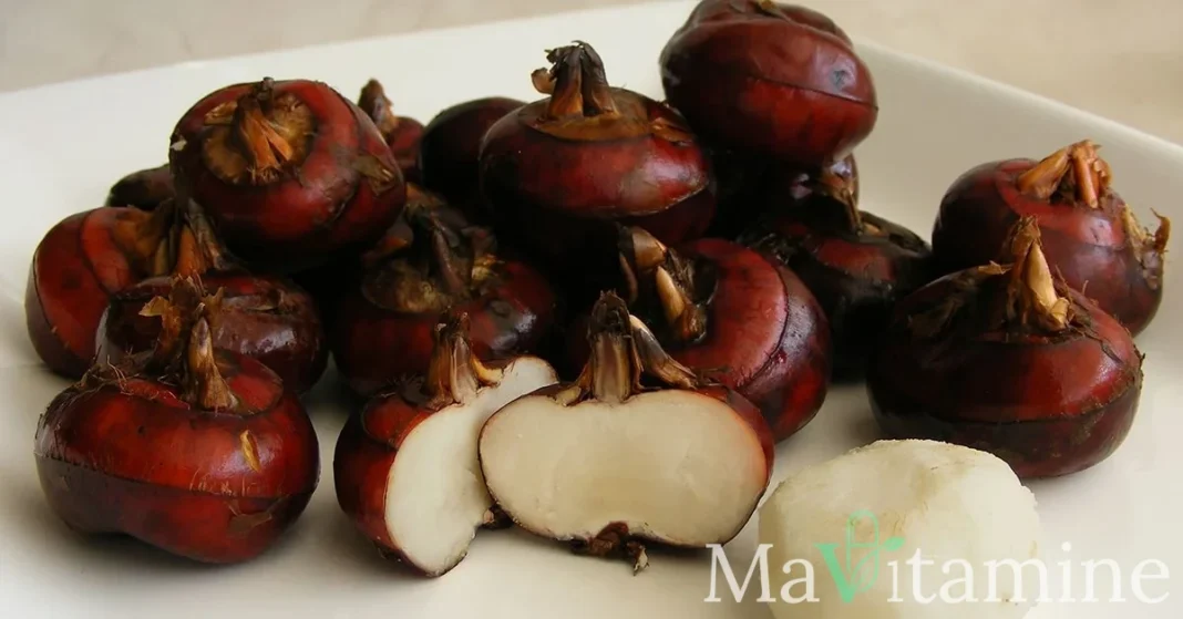 Châtaigne d'eau : bienfaits, nutrition et acide férulique