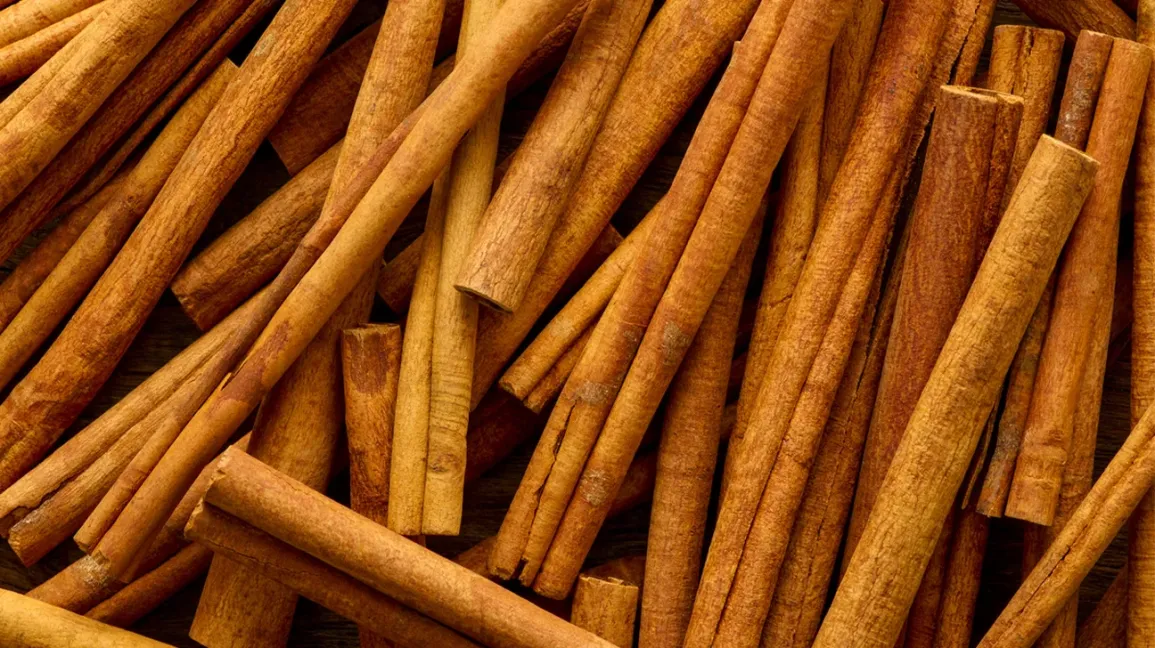 Bâtons de cannelle brute et poudre d'écorce