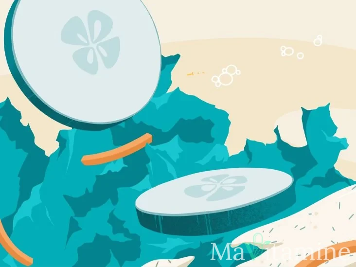 Dictionnaire des Ingrédients : Le Guide des Compléments