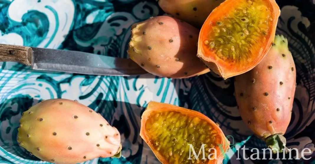 Figue de Barbarie : Bienfaits, Nutrition et Guide du Nopal