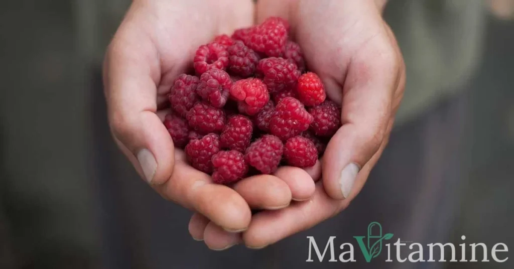 Framboise : bienfaits, nutrition et vérité sur les suppléments