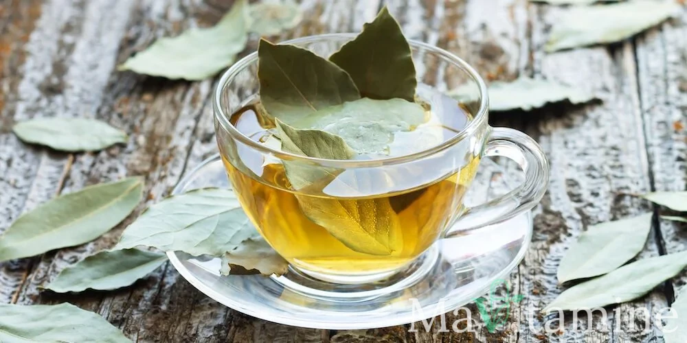 Gélules de complément alimentaire et feuilles de thé pour un l theanine dosage précis.