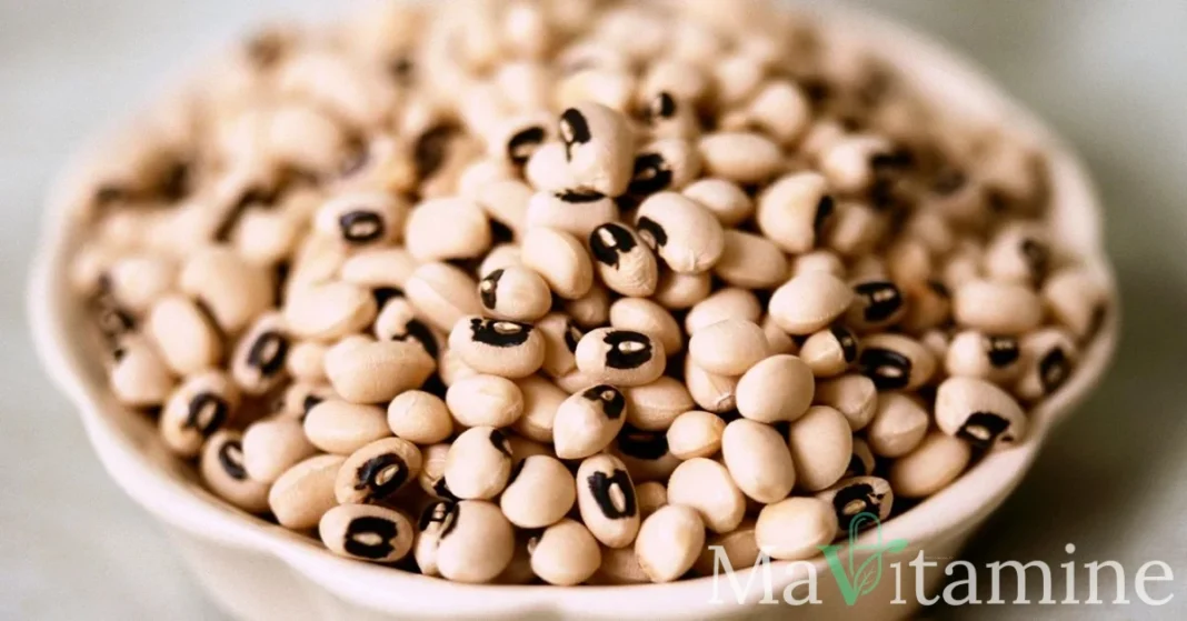Haricot Cornille : Le Super-Aliment aux Bienfaits Insoupçonnés