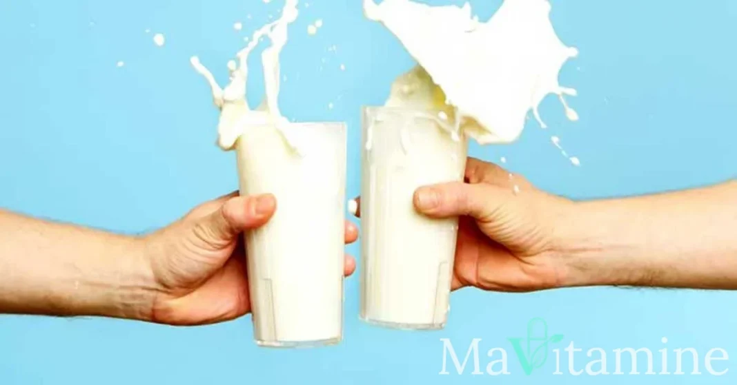 Lait A1 vs A2 : La science derrière cette protéine