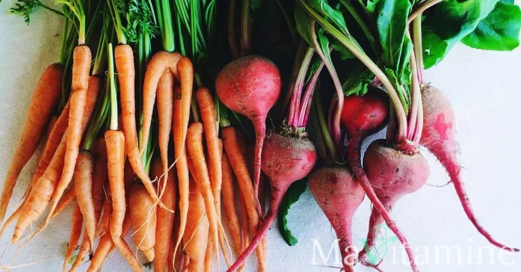 Légumes racines : guide complet des bienfaits et nutriments