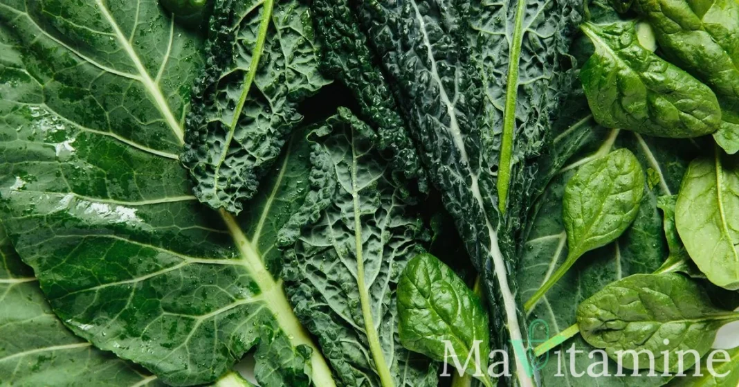 Lutéine : Bienfaits, Dosage et Meilleures Sources