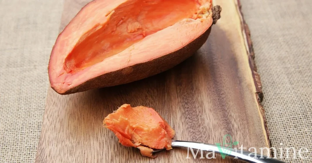 Mamey Sapote : Bienfaits et Profil Nutritionnel de ce Super-Fruit