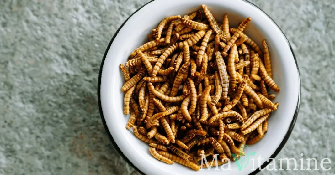 Manger des vers : l'avenir des compléments protéinés ?