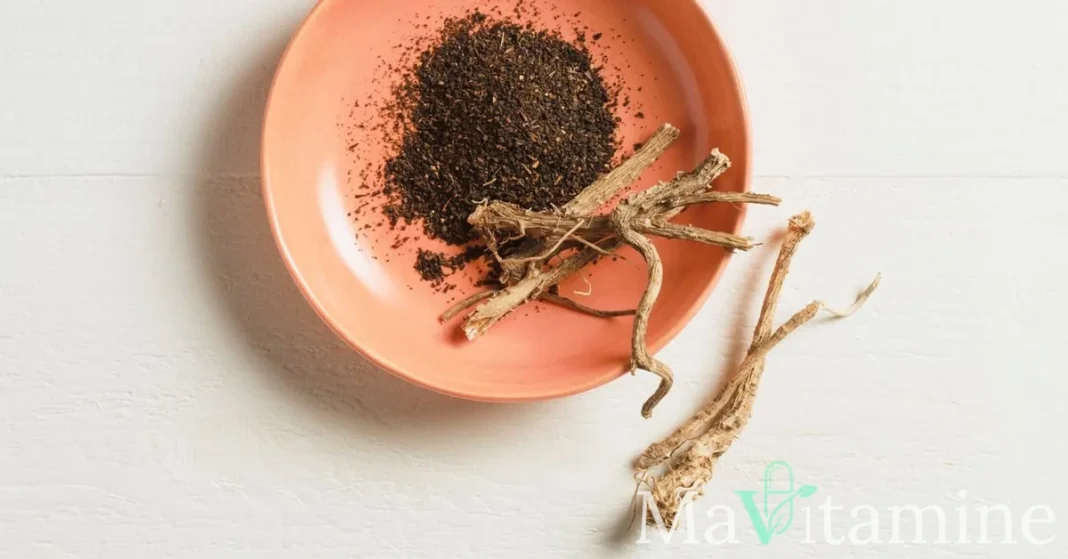 Prébiotiques : Les 19 Meilleurs Aliments pour votre Microbiote