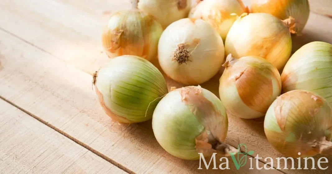 8 Substituts à l'Échalote : Atouts Santé et Alternatives