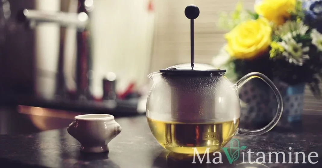 Thé vert et perte de poids : ce que la science dit vraiment