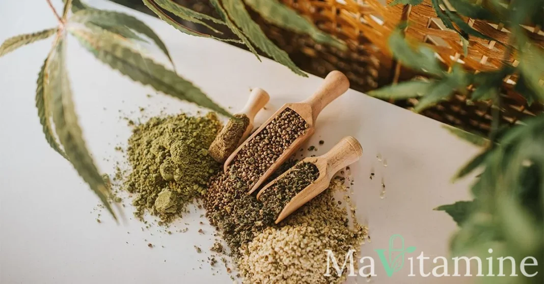 Tisane de chanvre : bienfaits, CBD et guide d'utilisation