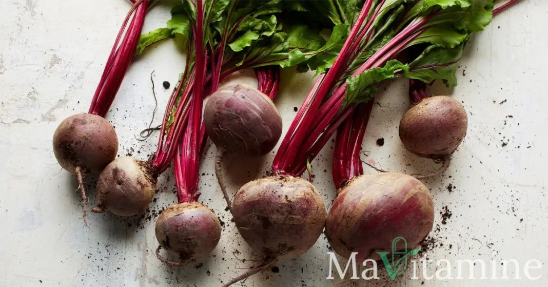 TMG (Bétaïne) : Bienfaits, Dosage et Guide Complet