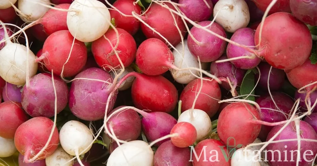 12 variétés de radis : bienfaits, nutrition et utilisation