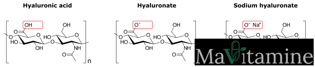 Schéma comparant acide hyaluronique, hyaluronate et hyaluronate de sodium
