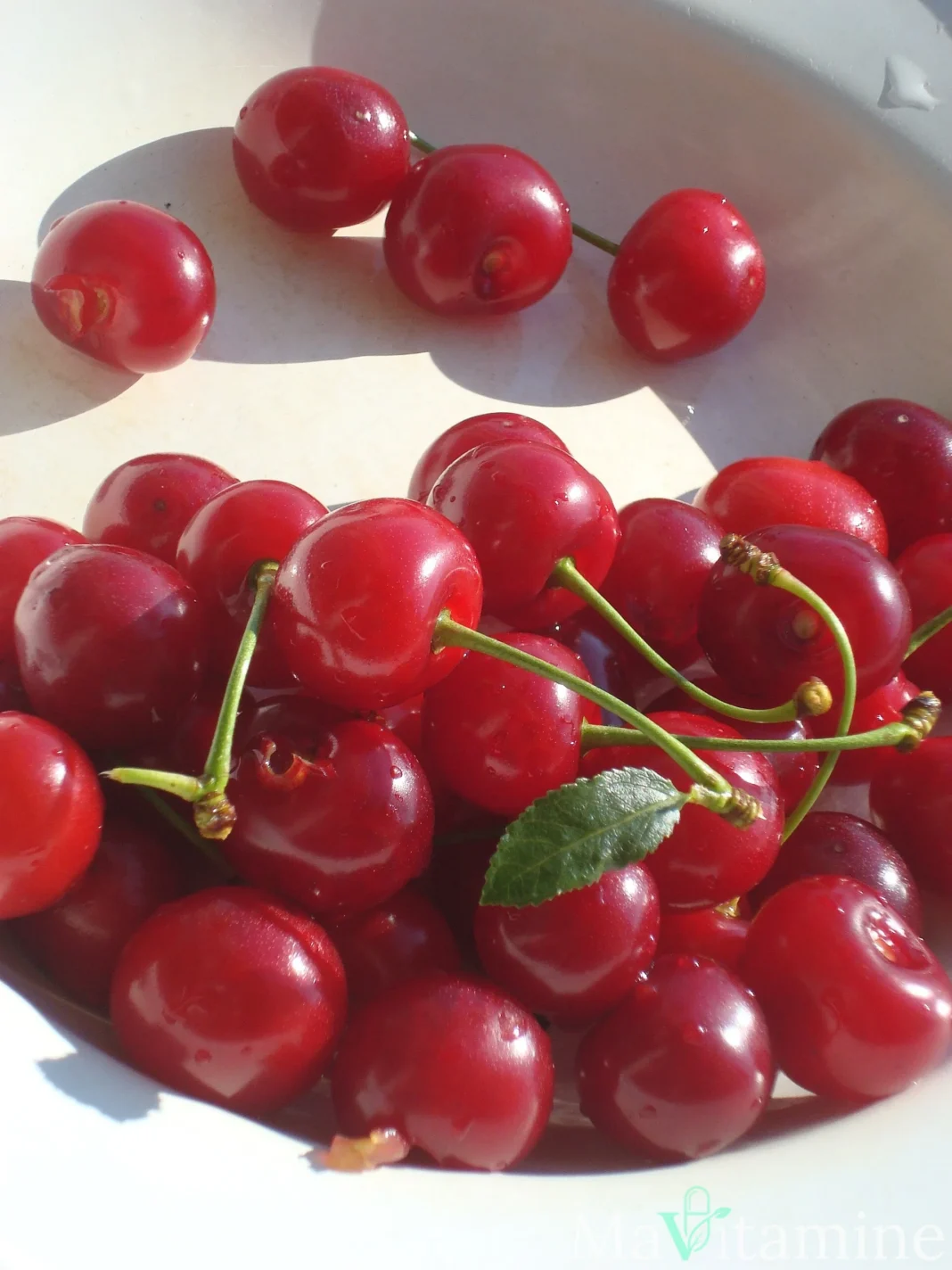 Cerises acidulées sur leur arbre, illustration des sources alimentaires étudiées de mélatonine