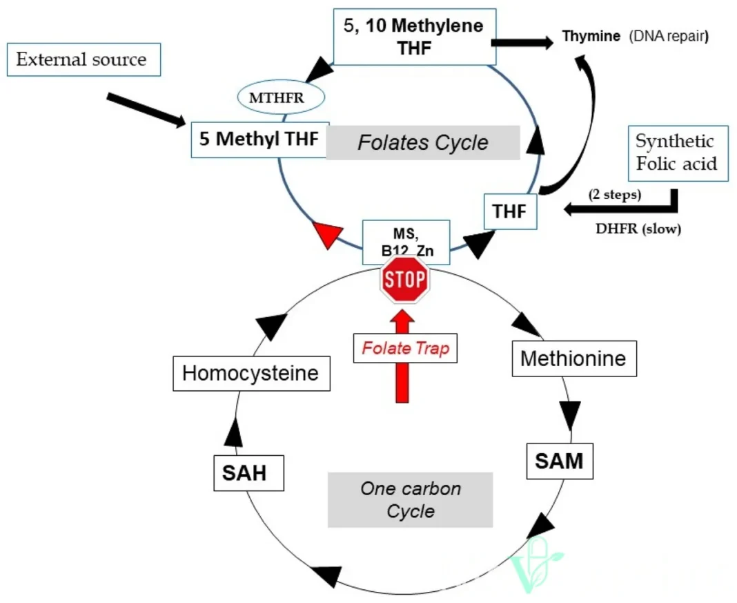 Flacon de complément alimentaire de vitamine B12